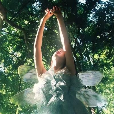 我被双胞胎美女抢着结婚